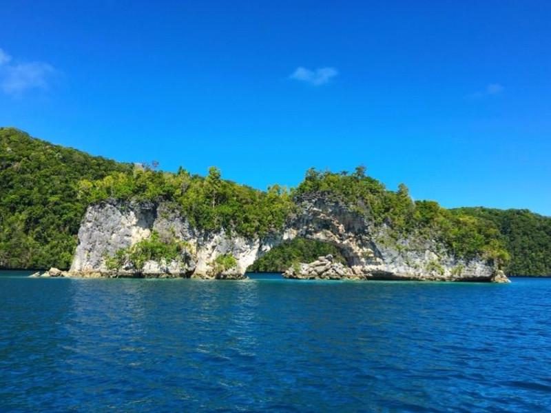 爱心接力跨越千里,流浪母子返乡“安家”